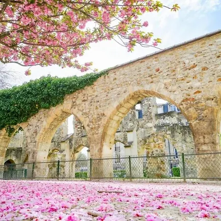 Au Coeur De La Cite Des Sacres - Renove *