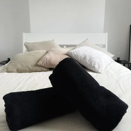 Au Coeur De La Cite Des Sacres - Renove Apartment Reims
